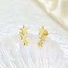 Fashion Silver Color Star Stud Earrings For Girls Women Stainless Steel Pentagram Stars Earrings