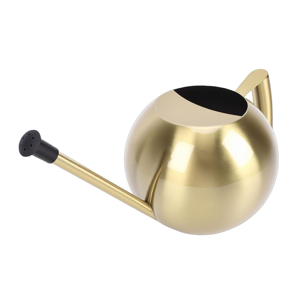 Watering Can with Long Spout 1000ml Stainless Steel Round Indoor Plant Watering Can with Detachable Head for Home