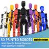 (Assembly Completed) Titan13 Action Figure Set,Upgrade Lucky Robot 13 Action Figure,3D Printed Multi-Jointed Movable,Nova 13 Action Figure for