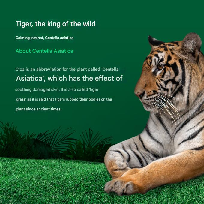 Medicube Super Cica Calming Mask 1 Sheet / 22g (3 Options)