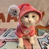 Double-Layer Thickened Soft Velvet Hooded Dog Cat Two-Legged Winter Coat Small Medium Large Breeds