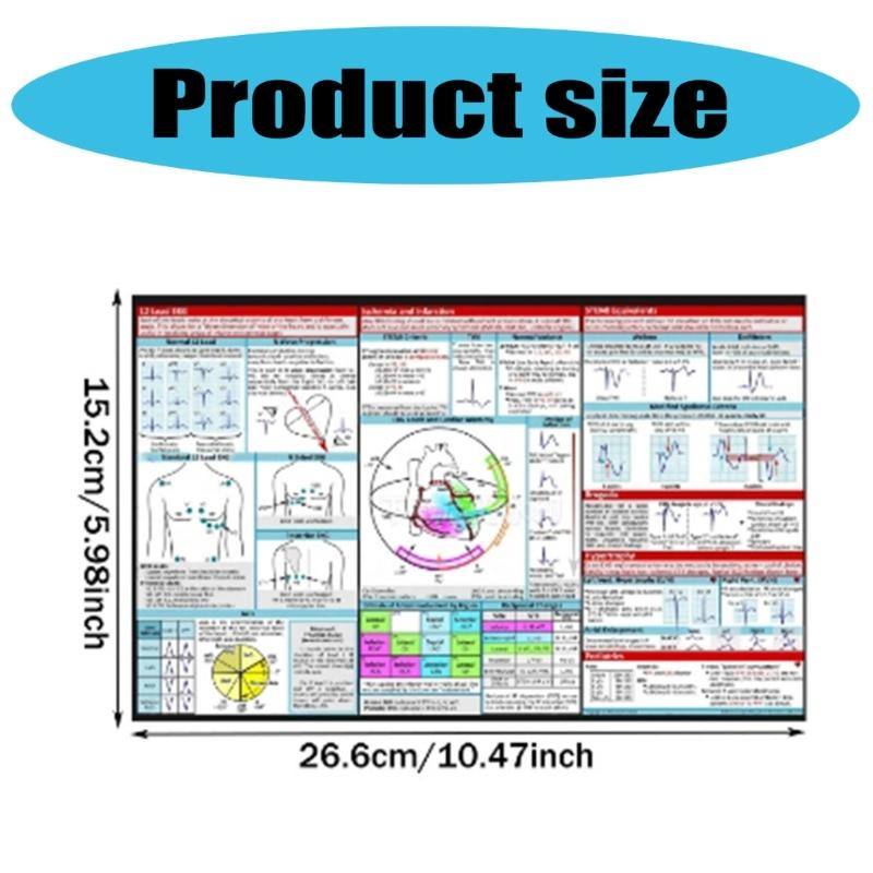 Professional Electrocardiogram Instruction Poster Double Side EKG Pocket Guide Reference for Students Nurse Doctor