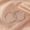 European American Style Luxury Stud Earrings: Elegant Cross-border Niche Hoops, Versatile Celebrity-inspired Accessories