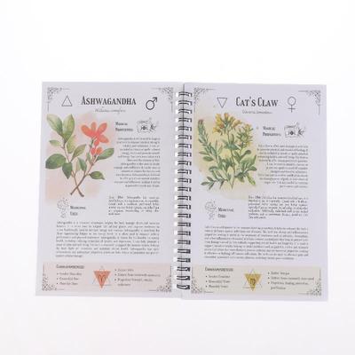 Natural Healing Guide Spiral Bound Herbal Book With Step-By-Step Recipes For Heart Health Blood Pressure And Focus Enhancement