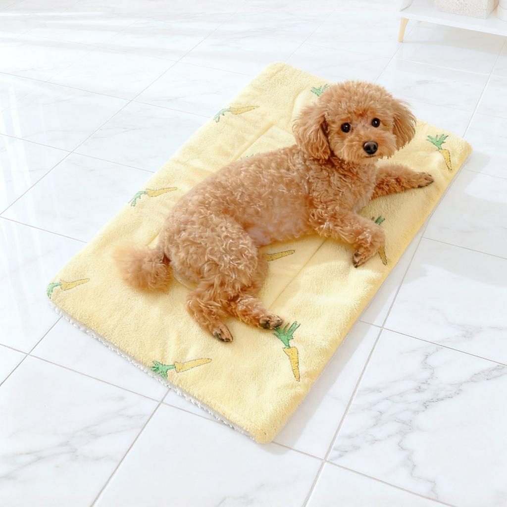 Pet Flannel Blanket Thick Warm Mat for Cats Dogs Winter Bed Mat