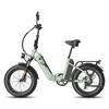 FAFREES FF20 Polar Electric Bicycle 500W Motor, 48V 26.8Ah Batter, 100KM Range, 20*4.0 Inch Fat Tires E-Bike