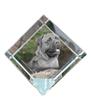 Bullmastiff – Crystal Cube with a Photo, Photo of a Horse In Crystal |