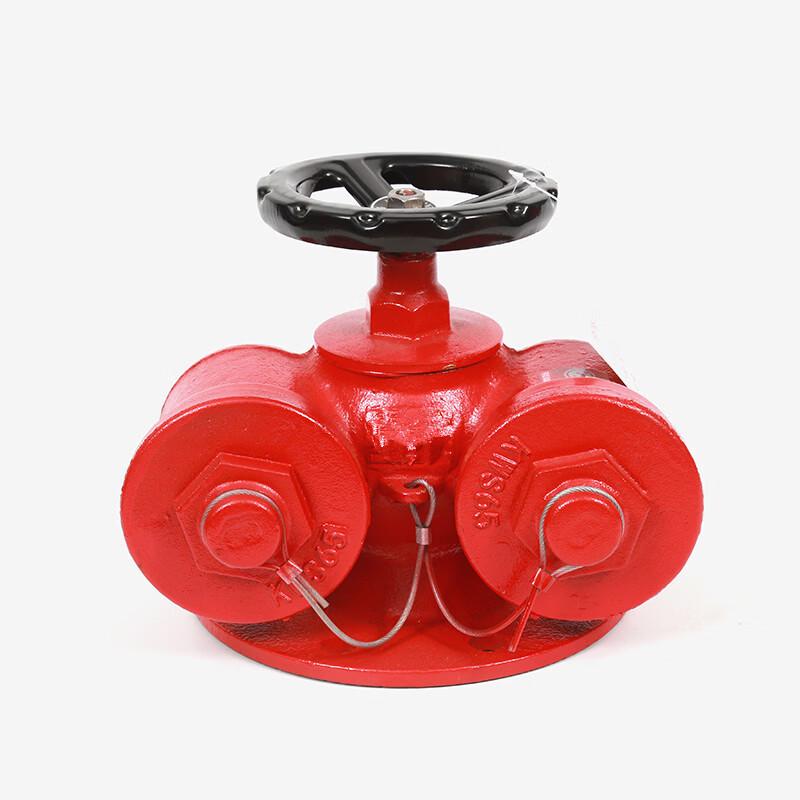 Lieve Fire Hydrant Ground Coupling