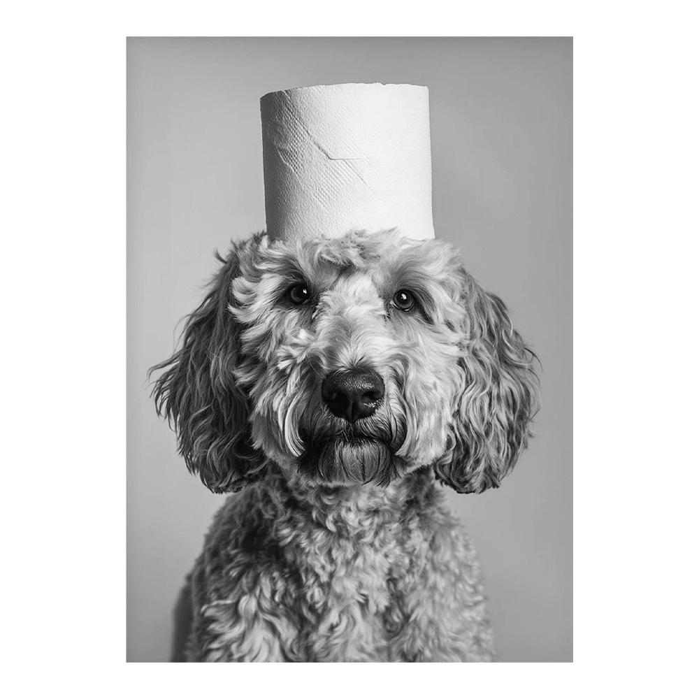 Highland Cow Otter Cat Raccoon with Toilet Paper Poster Print Canvas Painting Bathroom Wall Art Funny Toilet Humor Home Decor