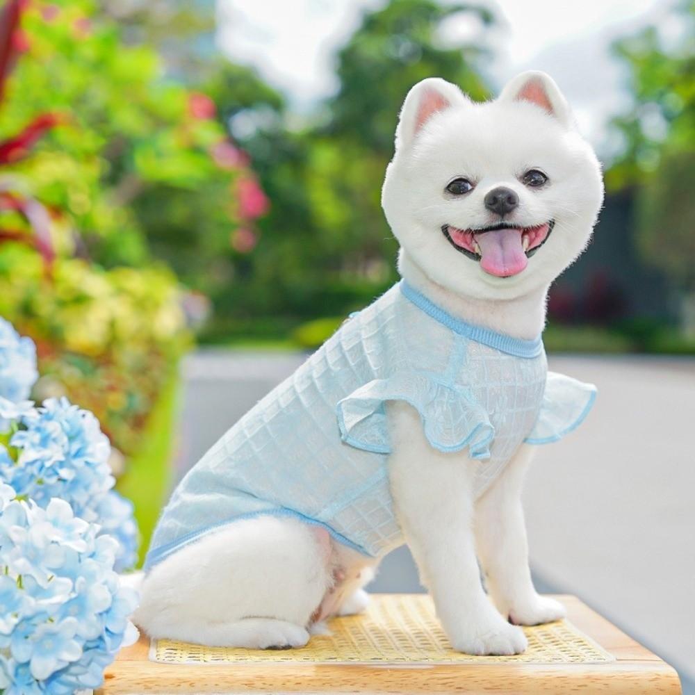 Breathable Dog Cooling Vest Thin Mesh Dog Summer Clothes Sweet Pet T-shirt  Spring Season