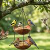 Bowl-shaped Hanging Bird Feeder Double Layer Animals Drinking Tray  Garden