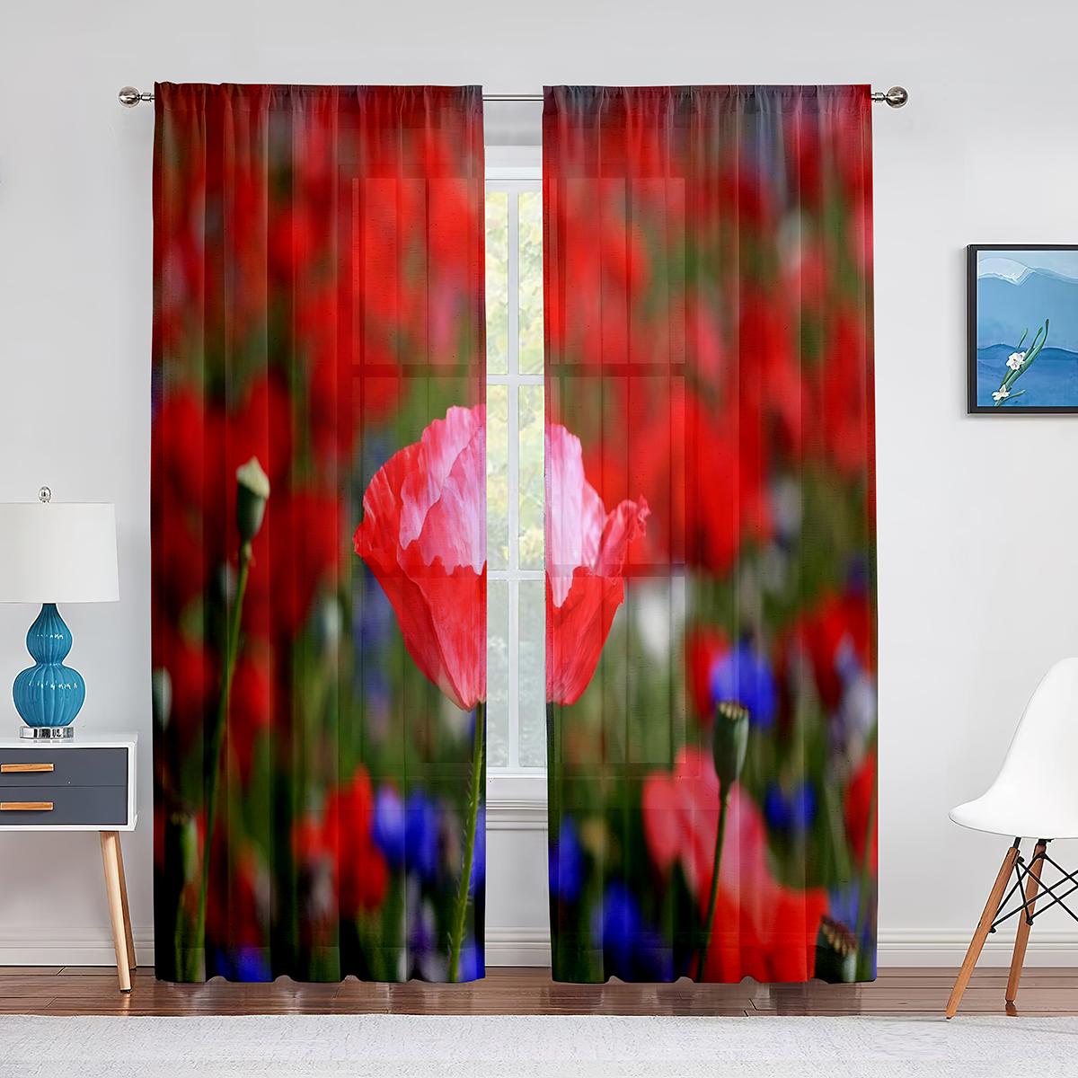 Красные маки на зеленом поле — фото 13