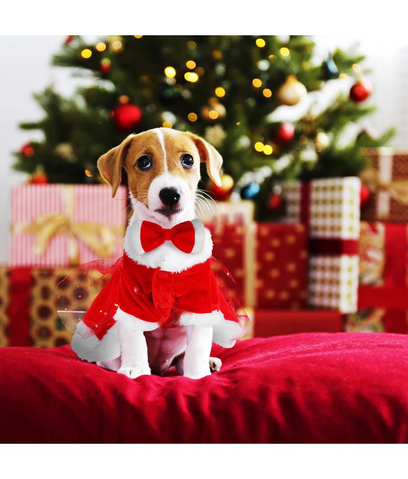 1 Set Costumi di Natale per Cani Abbigliamento Babbo Natale per Cani Vestito per Cucciolo Vestito Invernale Costume per Festa di Natale Abbigliamento per Cani con Fiocco