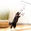 Kreativer Pailletten-Libellen-Katzenangelstab mit Licht- und Farbkombination, interaktives Selbstspielspielzeug für Katzen