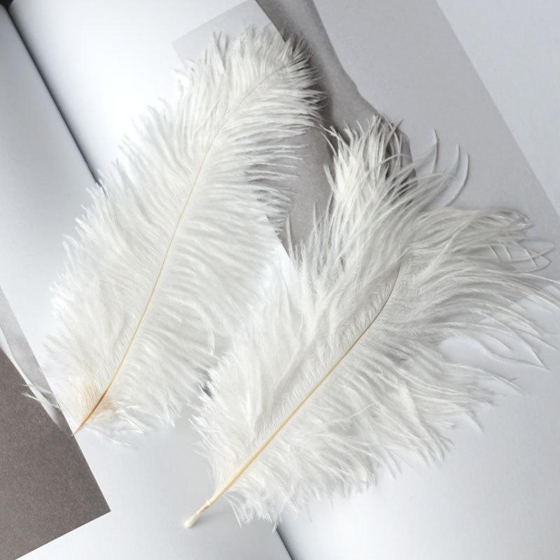 Colored Ostrich Hair 15-20Cm Wedding Ornament Wall Decoration Feather Wall Hand Bouquet Diy Dream Catcher Material