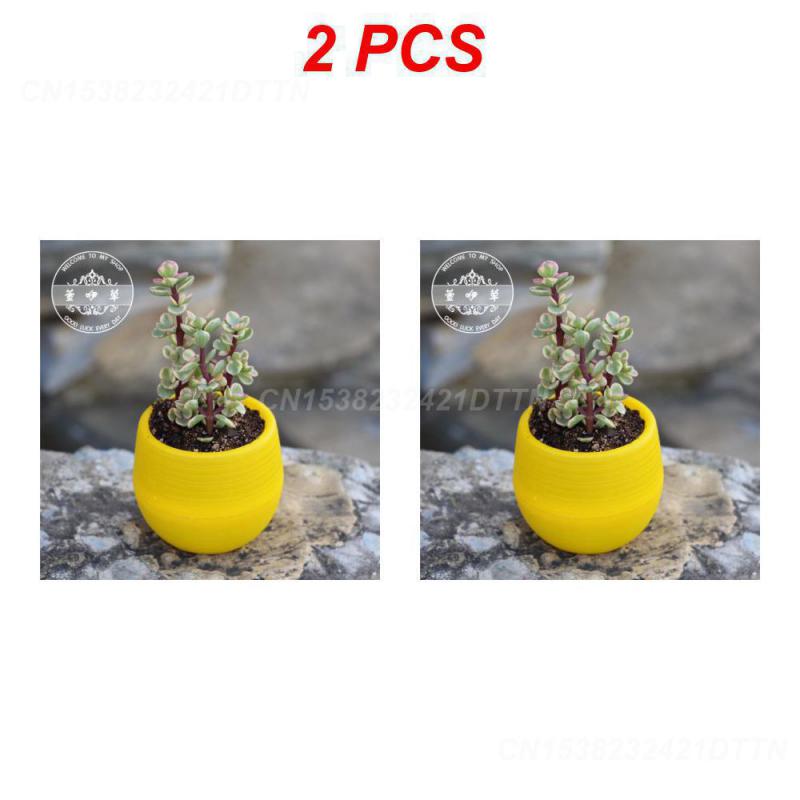 1/2/3PCS Plastic Flowerpot Small Green Plant Flowerpot Plant Desktop Potted Solid Color Mud Holder 2025 Succulent Plant Pot