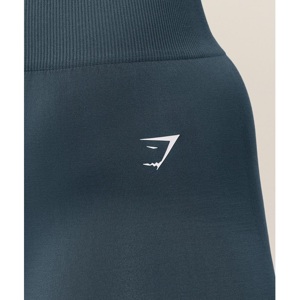 Gymshark Everyday Seamless Shorts 2.0 Gs Stealth Blue B6b3f Ud6s