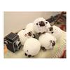 Sanei Pokemon ALL STAR COLLECTION Wooloo (S) Plush PP152