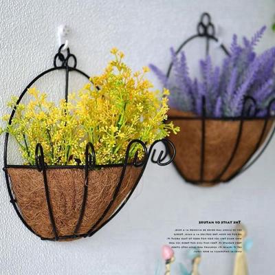 Semi-hand Coconut Palm Succulents Yard Balcony Wall Hanging Flowers Hanging Basket Flower Pot Garden Supplies Decoration