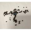 50pcs 2mm/2.5mm/3mm screws for aiwa cassette deck walkman player
