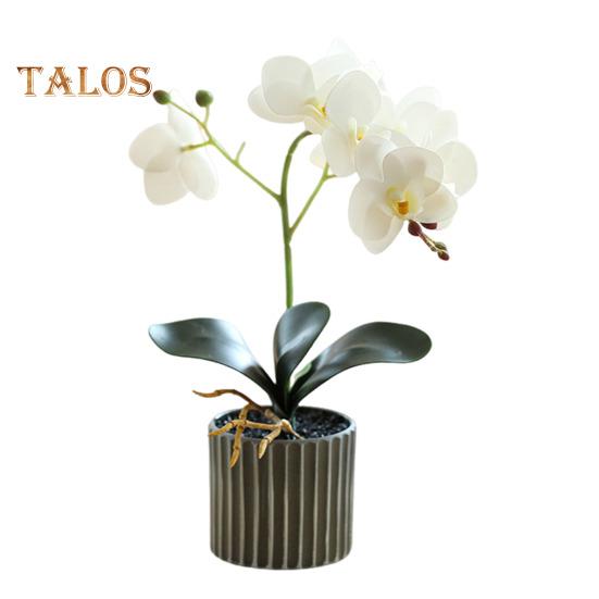Umělá květinová rostlina, umělá orchidej, bonsai, stolní umělé květináče, phalaenopsis, pro domácí jídelní stůl, kancelářský stůl, dekorace