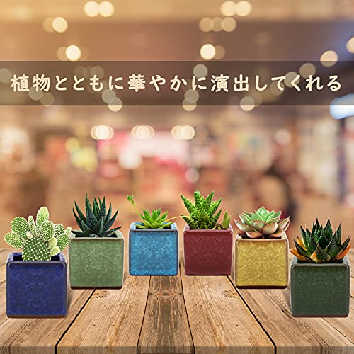 Lewondr 6-Piece Ceramic Planter Pots for Succulents, Bonsai, Window Treatments, and Miniature Plants, Size 2, 6.35*6.35*6.35cm (Note: Set includes pot