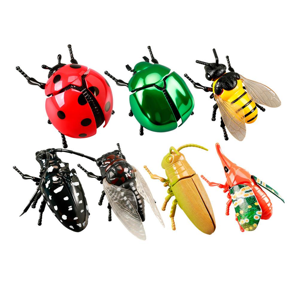 Educational Insect Toy Set With Plastic Crawling Figures And Recognition Cards For Kids