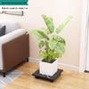 Rectangular Rolling Plant Pot Tray