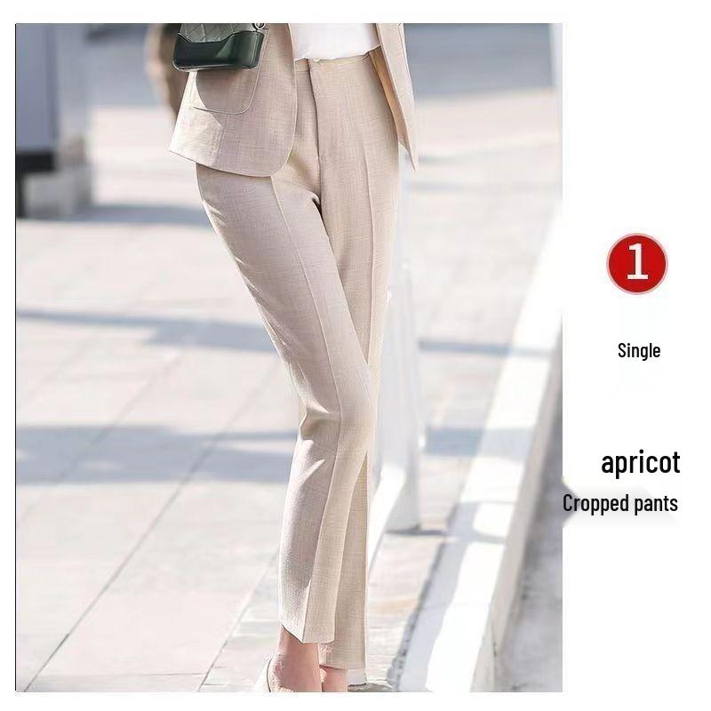 Elegant Spring 2024 Women s Professional Two-Piece Suit Set xL (110-119 jin)