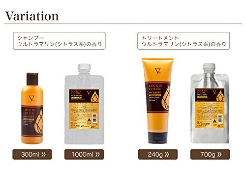 Phiten Lock-in Color Treatment B 700g