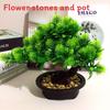 Plastics Simulated Pinus Hwangshanensis Artificial Green Plants  Plants Potted