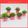 Starry Sky Artificial Flower Pot For Home Office Decor With Plastic Material And Wedding Use