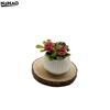 1Pcs Plastic Flower Doll House Living Room Scene Decoration Mini Rose Plant Potted Plants Model Miniature Landscape Handicrafts