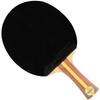 Double Happiness 2-Star Table Tennis Racket Set