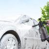 2L Handheld Car Wash and Gardening Foam Sprayer