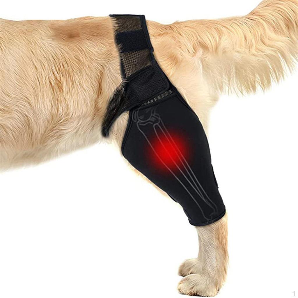 Rear Leg Hock Support Breathable Joint Wrap Protects
