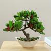 Artificial Plant Offices Parties Restaurants Shops