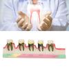 Dental Periodontal Disease Model Tooth Disease Study Teaching Model for Dental School