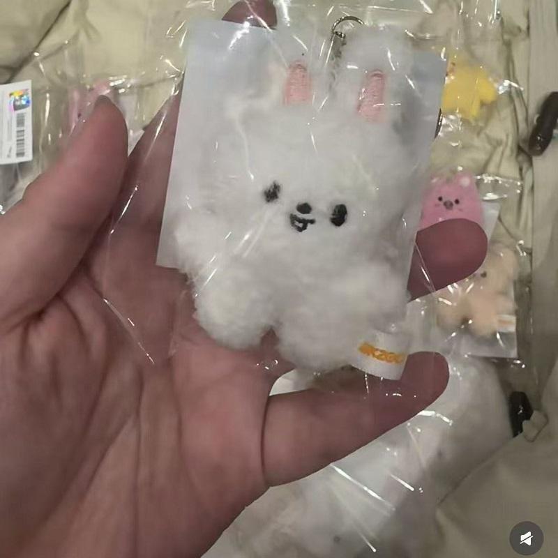 Keychain Plush Skzoo Plush Toy Korean Idol Boy New Cartoon Cute Pendant Toy Fan Collection Gift Children'S Gift