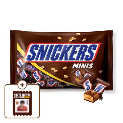 Snickers Minis 760G