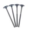Intake & Exhaust Valve Stems for Biyaqiao NEXUS 250/300 HPE Motorcycle Engines