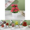 Artificial Flower Pot With 12 Ball Chrysanthemum For Home Decor And Gift