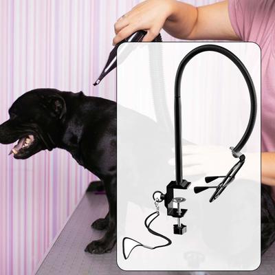 Hunde – Varer til hundepleje