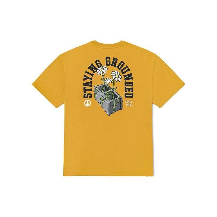 

New Vans T Shirts Unisex Brown VN00090HG4O L