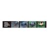 CAPTAIN STAG Camping Barbecue 2way Bonfire Trivet Wide Net [Compatible with Bonfire Stand, Stove, and Grill] Removable Legs Black UG-3260