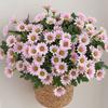 1/3 Stück Gänseblümchen Künstliche Blumen Strauß Seide Künstliche Blume für Haus Zimmer Dekoration Garten Hochzeit Braut Dekoration DIY Vase Zubehör