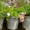 Adorable Rabbit Flower Pot Hanger Resin Bunny Statue Climbing Bunny Figurine  Lawn Patio