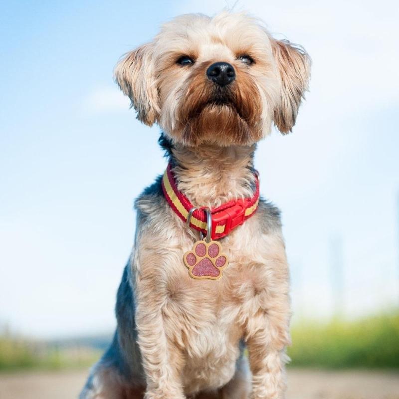 Haustierhalsband Blingbling Anhänger für Hunde Katzen Tierpfotenabdruck Anhänger mit Glitzer Mehrfarbig