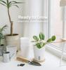 5/1PCS Self Watering Plastic Flower Pot Double Layer Hydroponics Plants Pot Vases Succulent Potted Desktop Vase Home Decoration