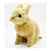 BH7022 HANSA Netherland Dwarf 21